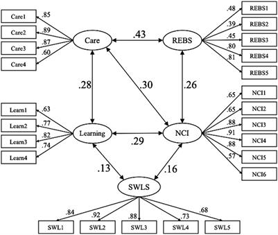 Human–object interaction, connectedness with nature, and life satisfaction: a cross-sectional study